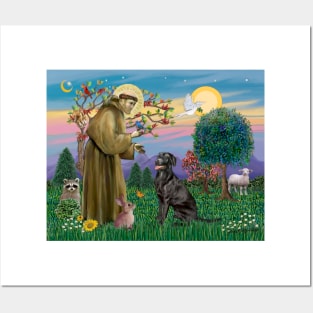 Saint Francis Blesses a Black Labrador Retriever Posters and Art